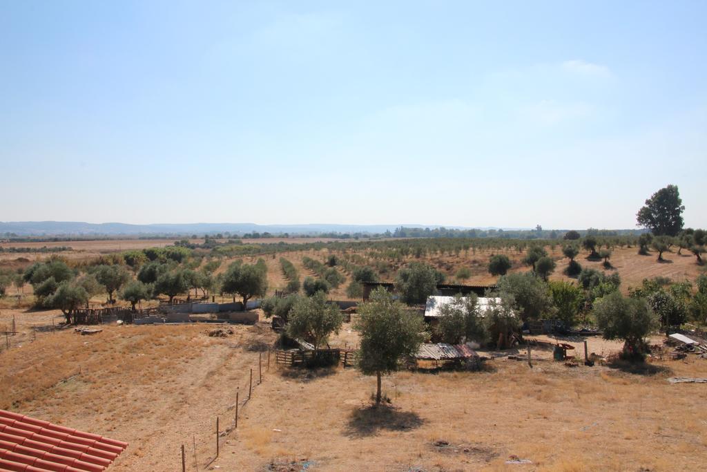 Вилла Olive View Вила-Нова-да-Баркинья Экстерьер фото